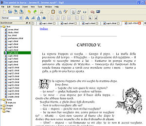 Screenshot showing a sample eBook and director...